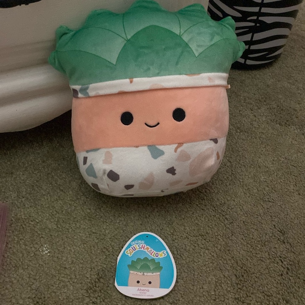 Succulent squishmallow